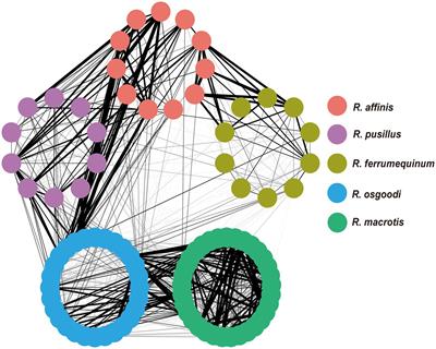 Diet composition, niche overlap and partitioning of five sympatric rhinolophid bats in Southwestern China during summer